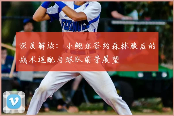 深度解读：小鲍尔签约森林狼后的战术适配与球队前景展望