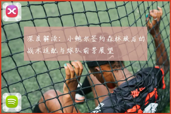 深度解读：小鲍尔签约森林狼后的战术适配与球队前景展望