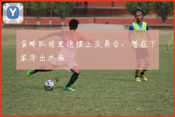黄蜂队将里德摆上交易台，潜在下家浮出水面